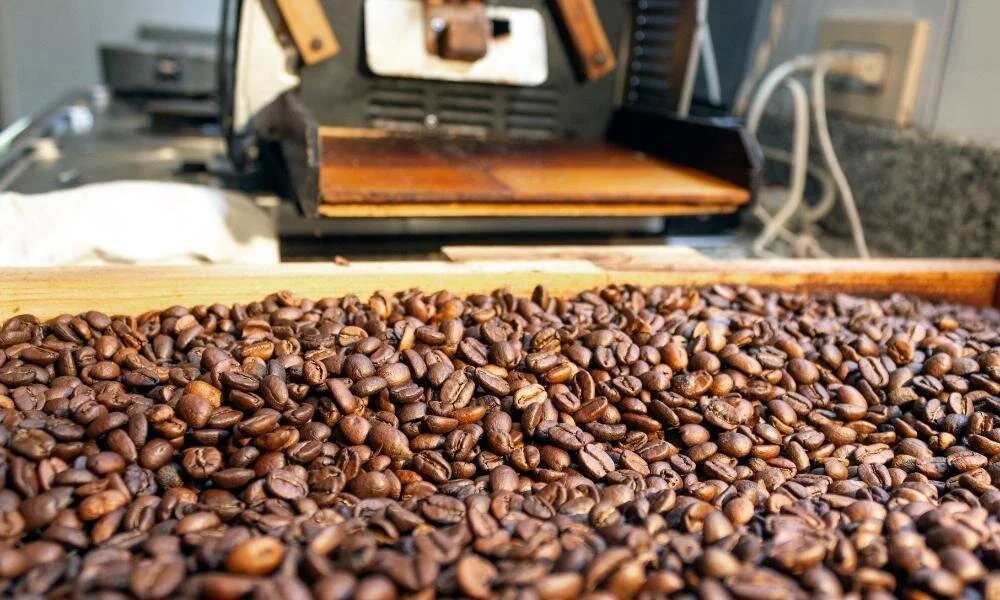 Best coffee beans cheap for home machine